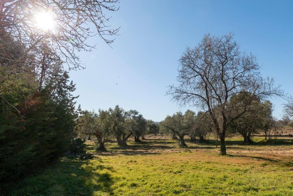 Finca El Palomar De La Vina 马德里 外观 照片