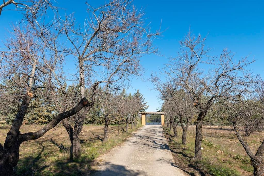 Finca El Palomar De La Vina 马德里 外观 照片